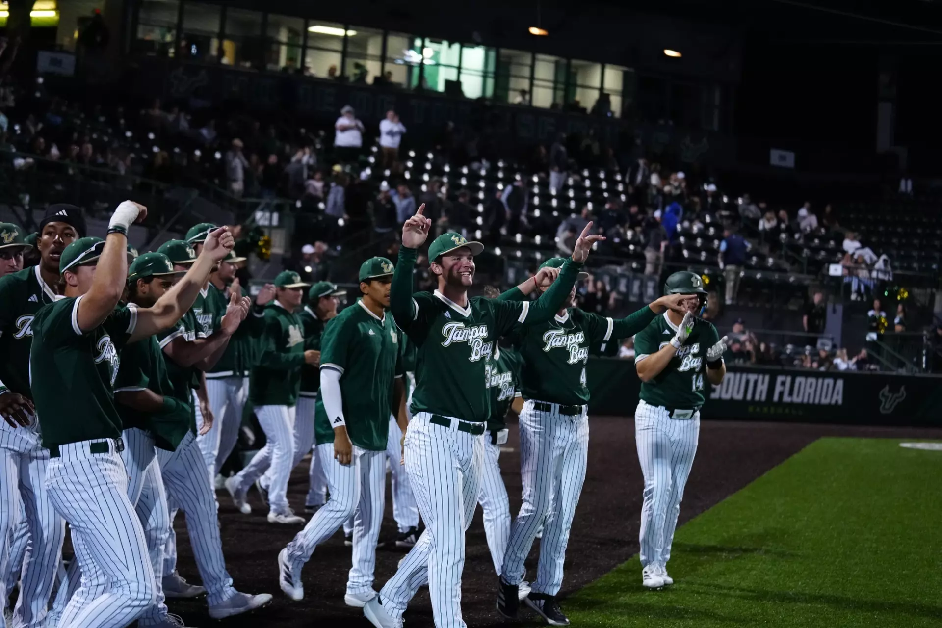 USF Bulls