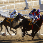 Preakness