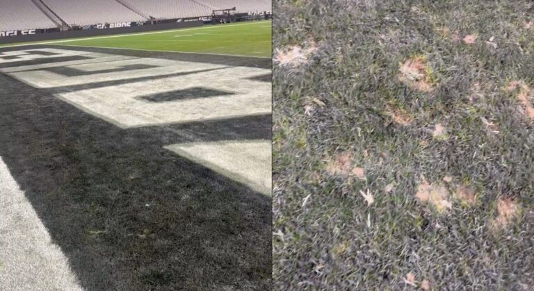 field