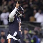 Bears