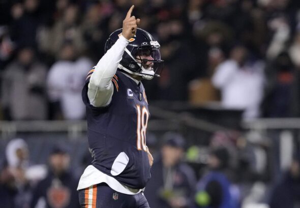 Bears