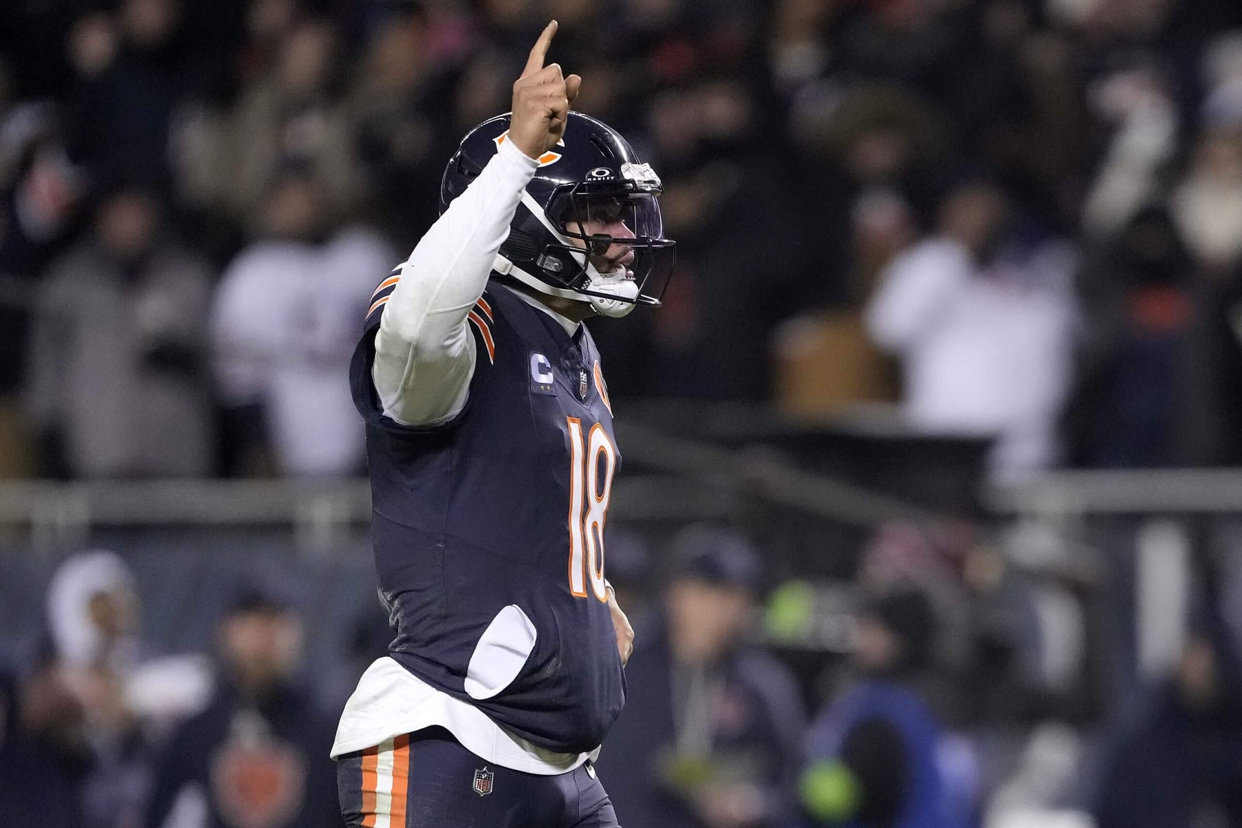 Bears