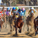betting