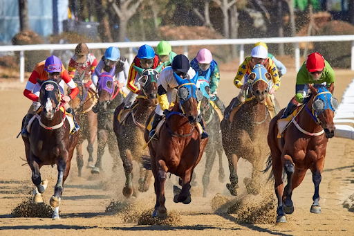 betting