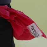 nfl-challenge-flag
