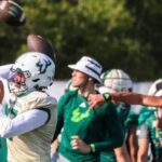 usf