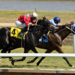 Horse Racing
